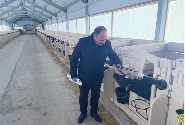 «Телячья деревня» в Рязанской области как пример современного молочного хозяйства