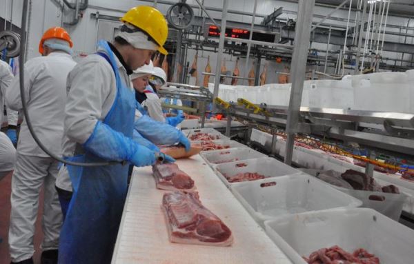 По итогам 2020 года в Тамбовской области ожидается производство более 590 тысяч тонн мяса