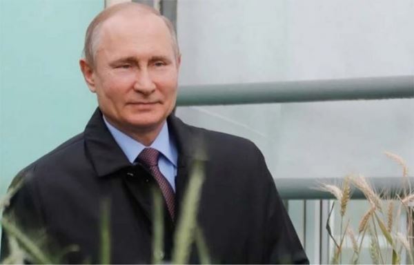 Аграрии просят Путина не ужесточать меры по ограничению экспорта пшеницы
